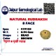 8 Mukhi Indonesia Rudraksha – Original & Certified Ashtmukhi Bead 8 Mukhi Indonesia Rudraksha – Original & Certified Ashtmukhi Bead